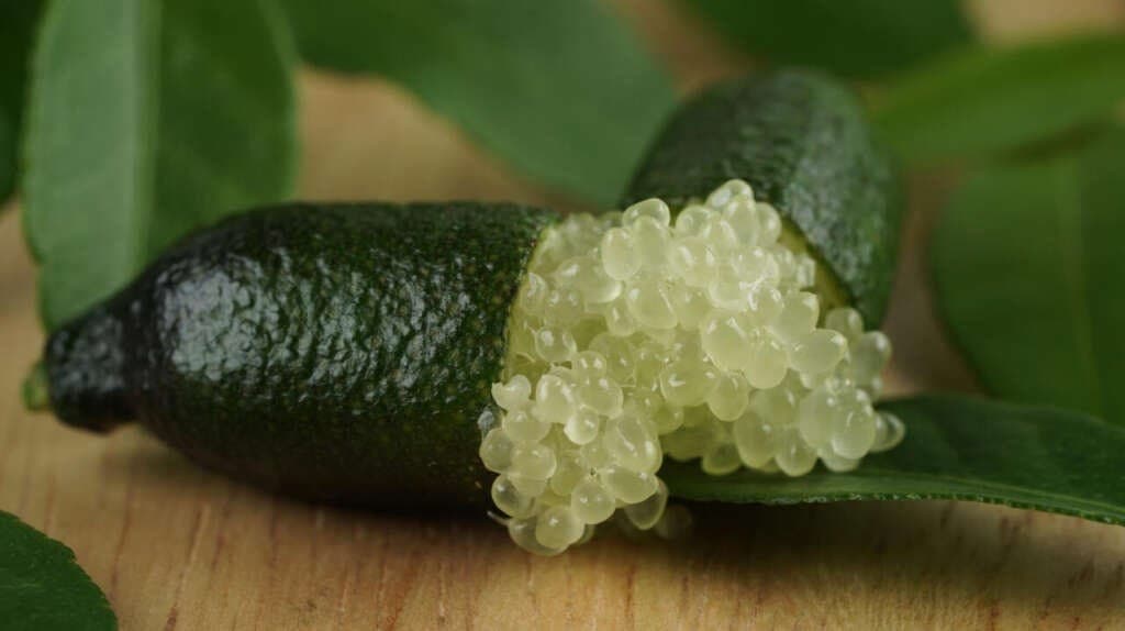 Limão caviar ganha gastronomia internacional