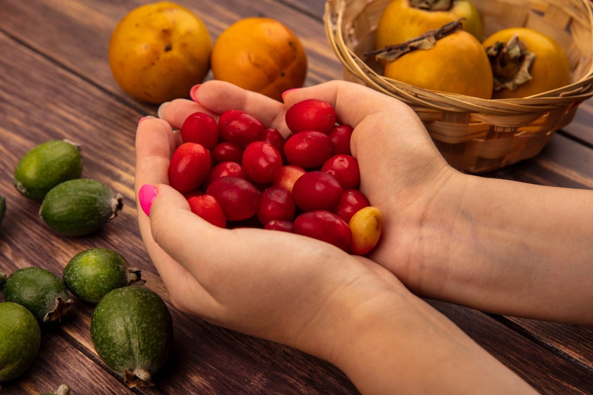 Sebrae SP realiza workshop de frutas nativas da Mata Atlântica em Natividade da Serra 