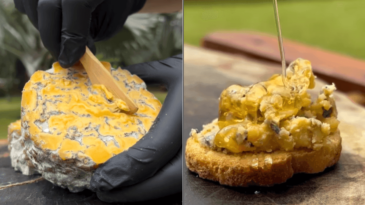 Queijo Horácio foi destaque da TasteAtlas