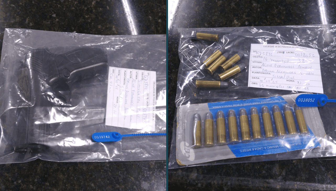 Foram apreendidos arma e munições 
