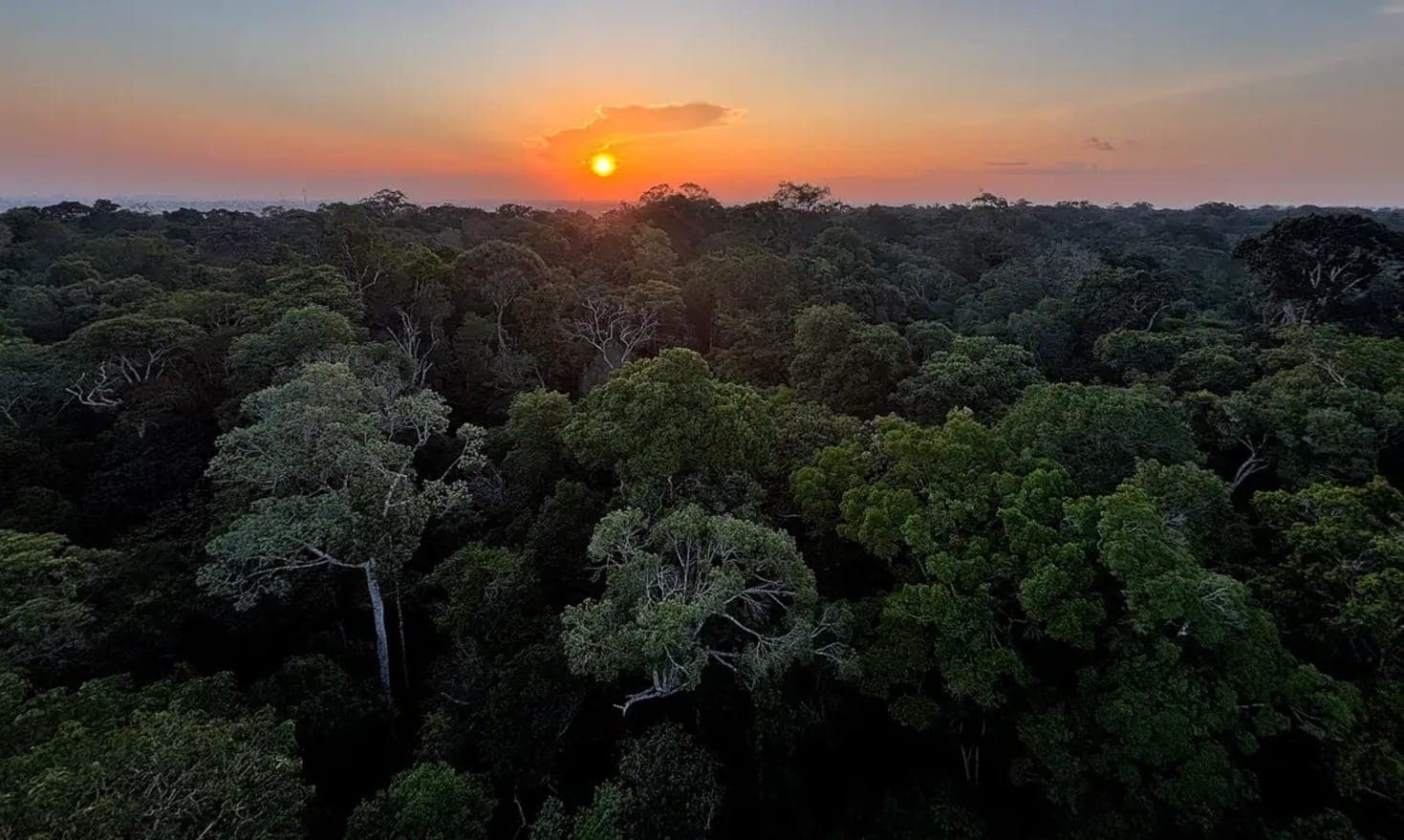PSOL entra com petição contra o novo licenciamento ambiental