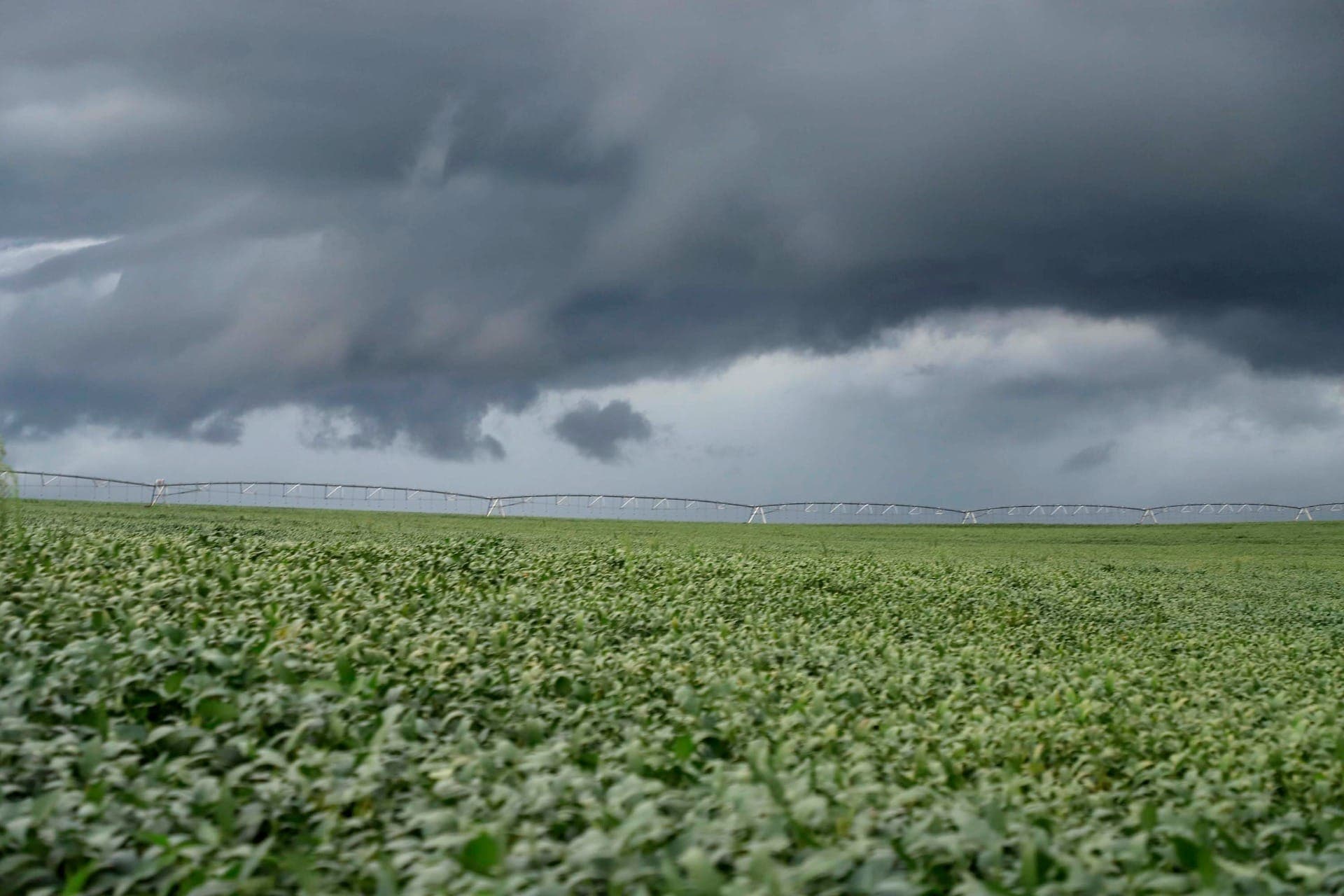 Estudo da Unicamp mostra resíduos de atrazina e carbendazim em água da chuva de 2 anos atrás