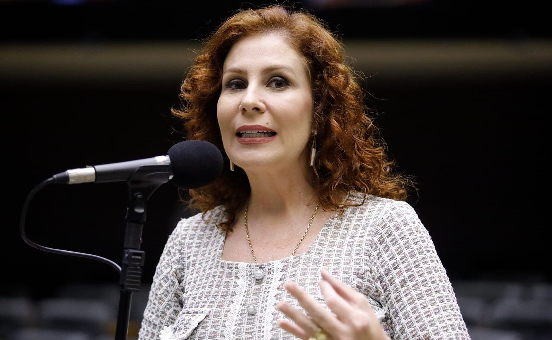 A deputada federal Carla Zambelli (PL-SP)