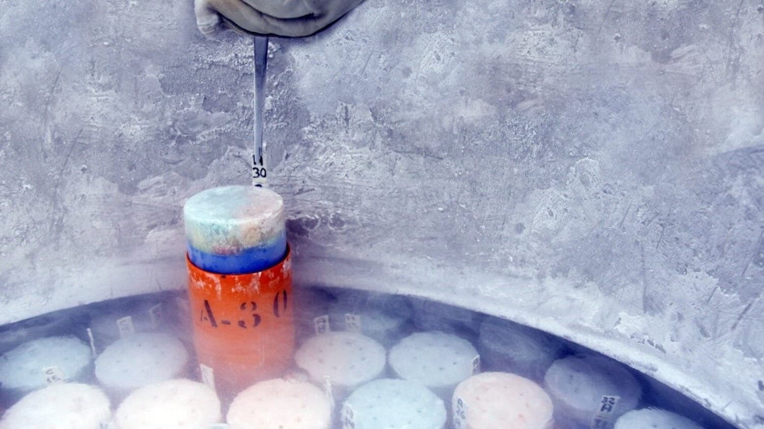 Nitrogênio líquido será produzido pela Embrapa
