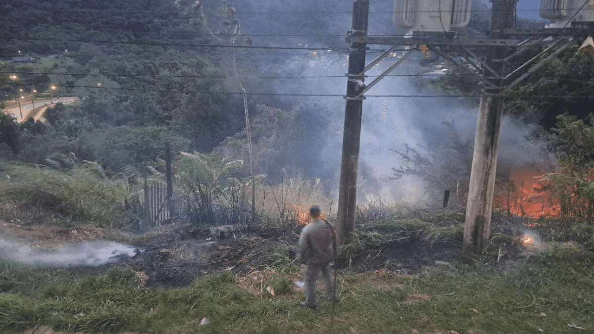 Incêndio atinge vegetação às margens da SP-55 e mobiliza Corpo de Bombeiros em Caraguatatuba