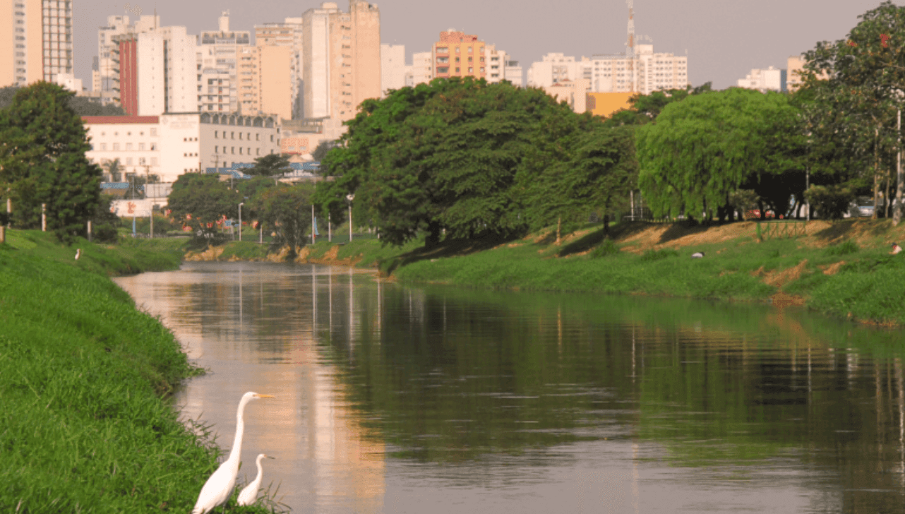 A área é considerada de proteção ambiental 