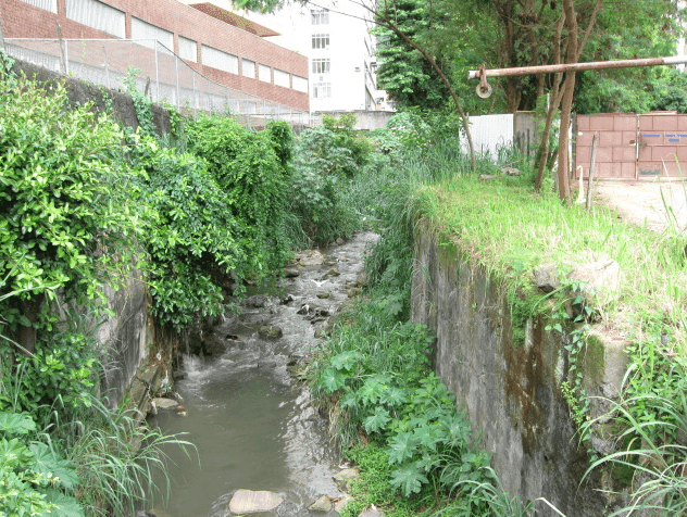Rio Maracanã