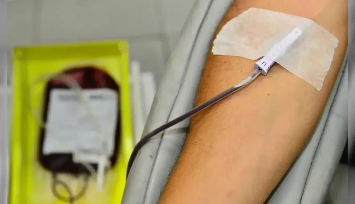 Doação de sangue em Vinhedo