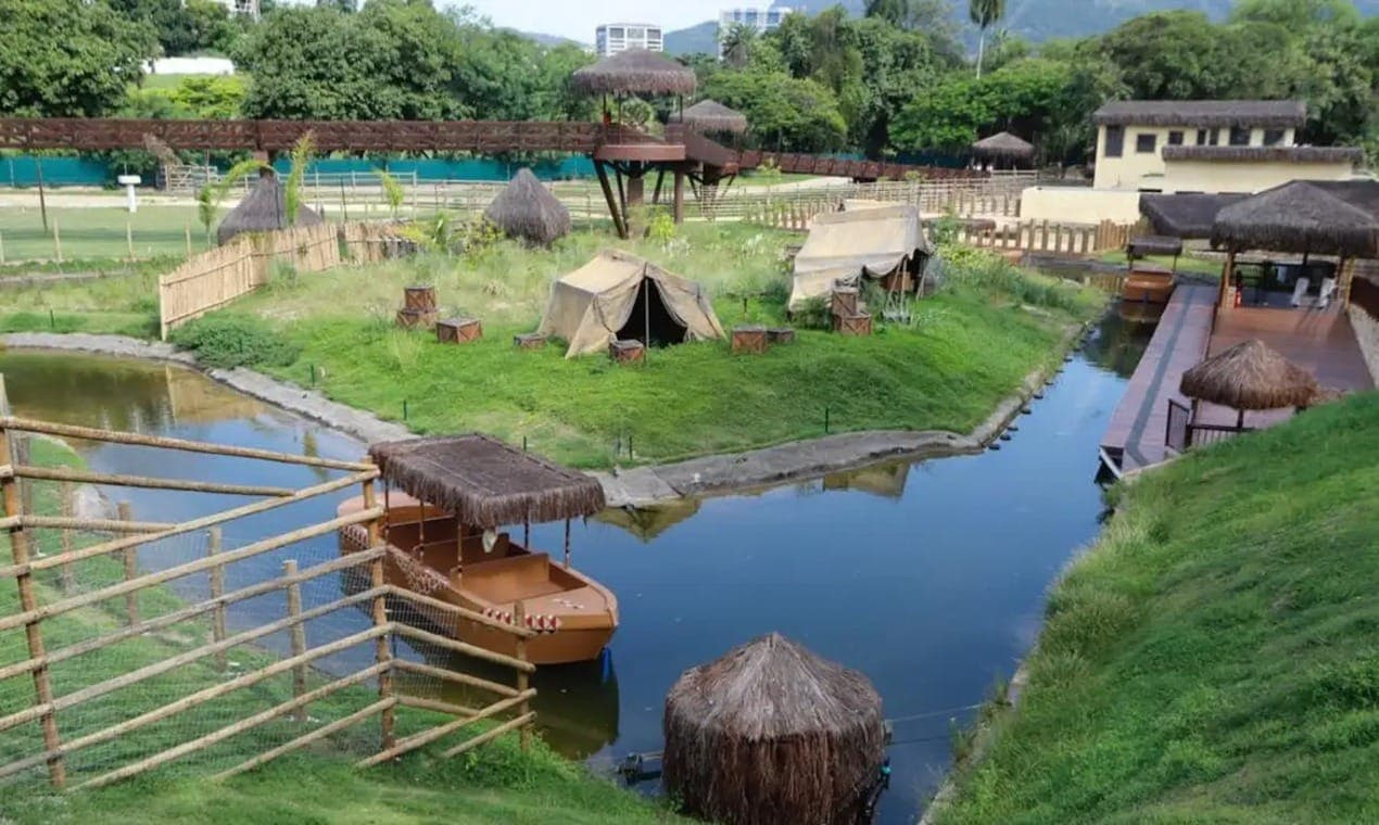 Aves foram contaminadas no Bioparque 