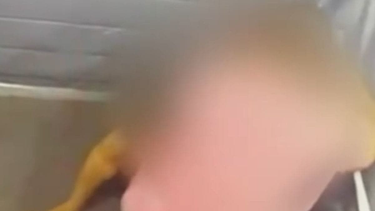 Homem espanca namorada em Natal