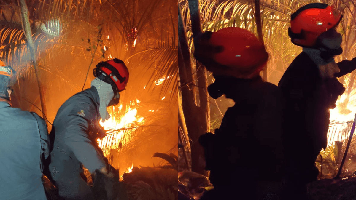 Incêndio atinge vegetação no Morro do Chocolate e mobiliza Corpo de Bombeiros de Caraguatatuba