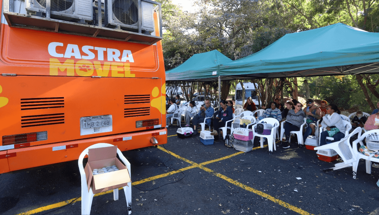 Castramóvel em Campinas 