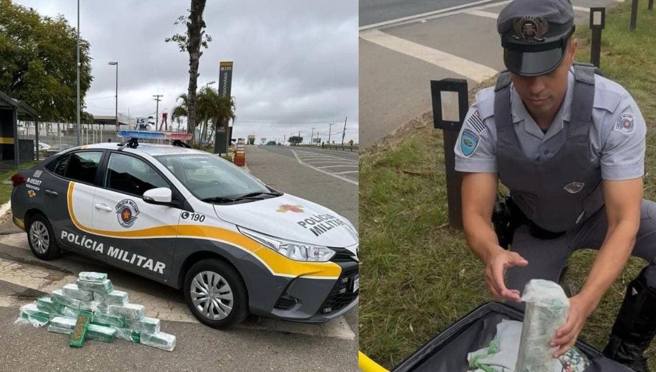 Drogas foram localizadas em bagagem de passageiro