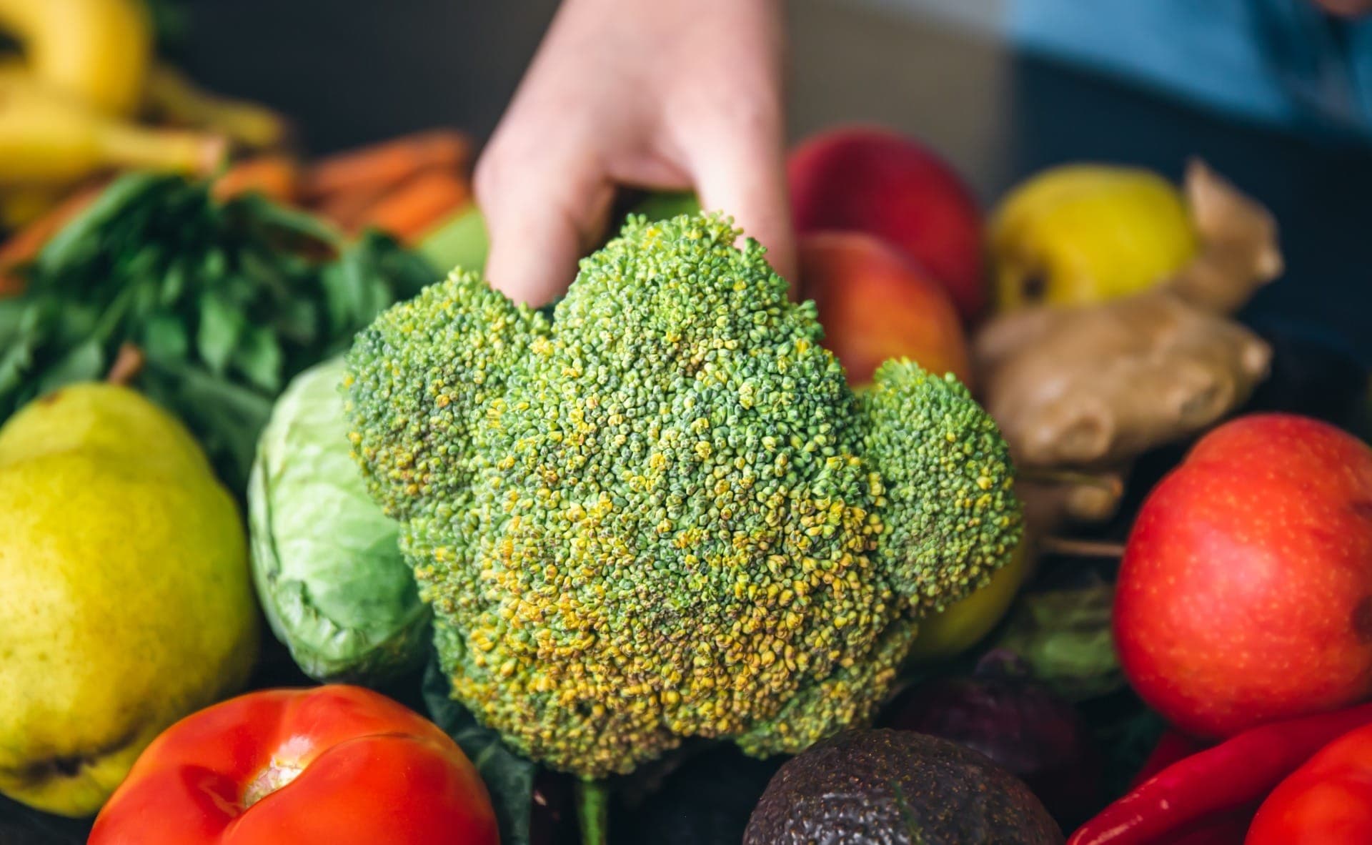 Quais são as doenças causadas pela alimentação?