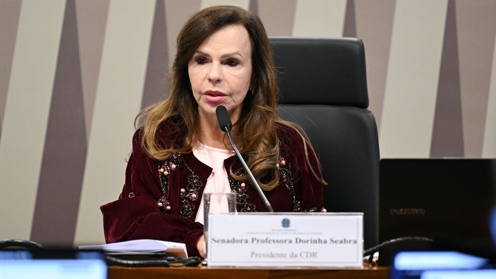 Senadora Professora Dorinha