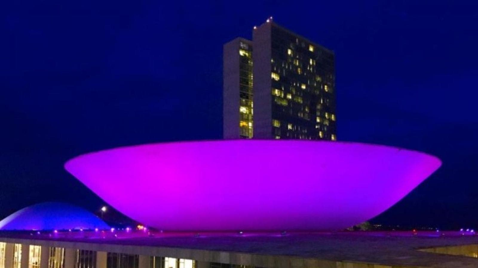 Setembro Roxo no Congresso Nacional