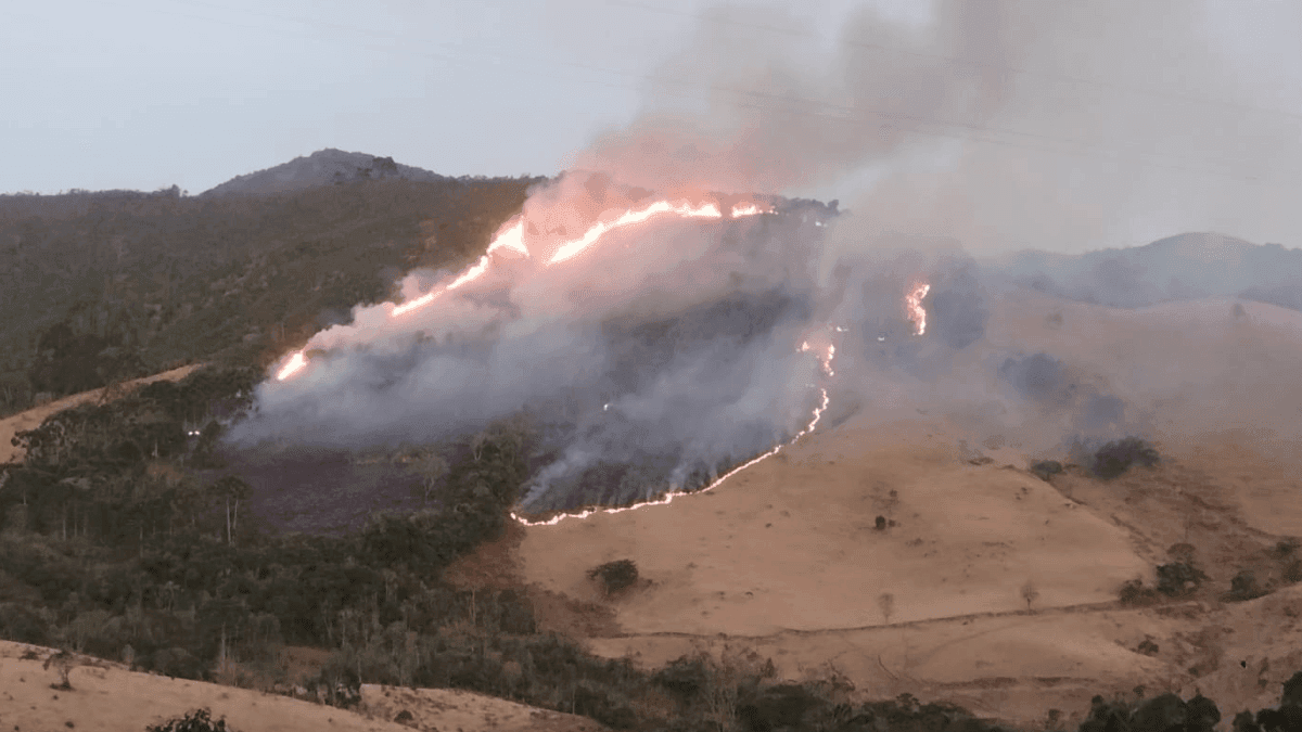 Incêndio de grandes proporções atinge área de vegetação na Estrada do Bié em Cunha