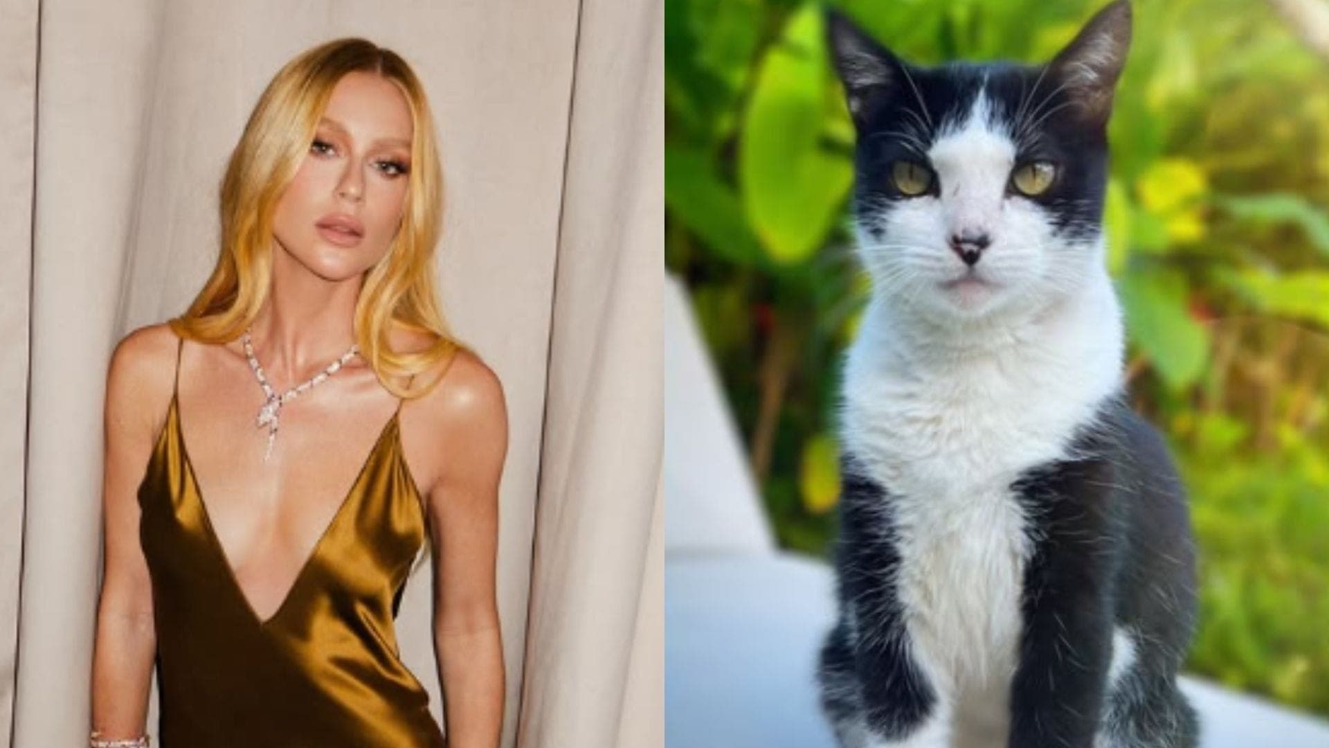 Marina Ruy Barbosa e o gato João