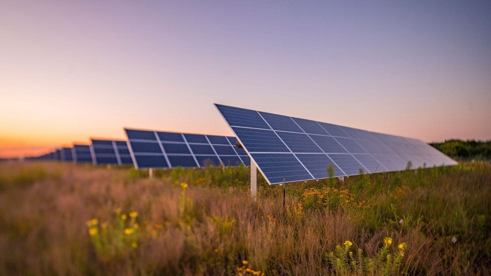 Parque Solar