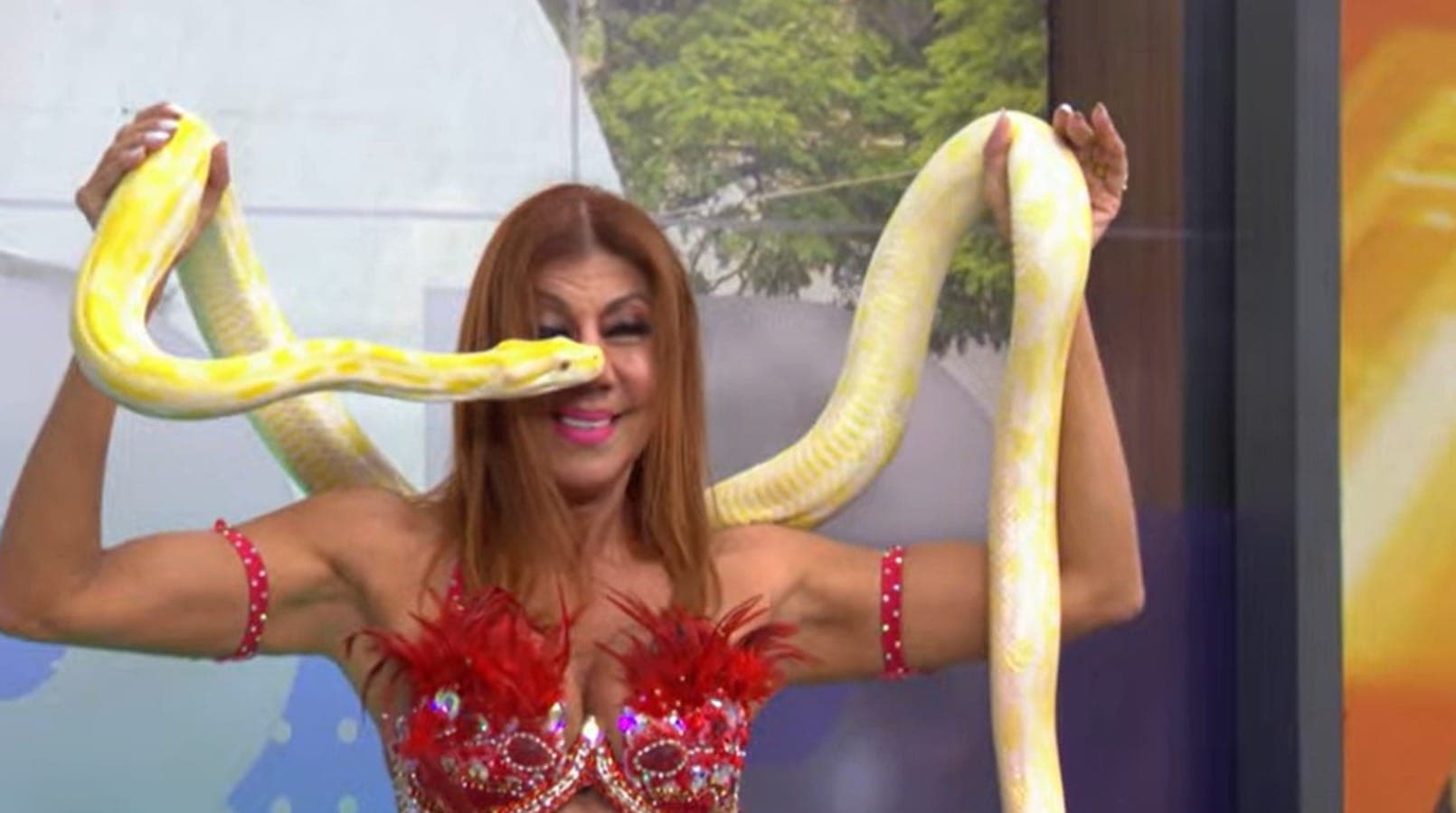 Bora Brasil teve uma atração especial, com direito a doces árabes e apresentação de dança do ventre no estúdio