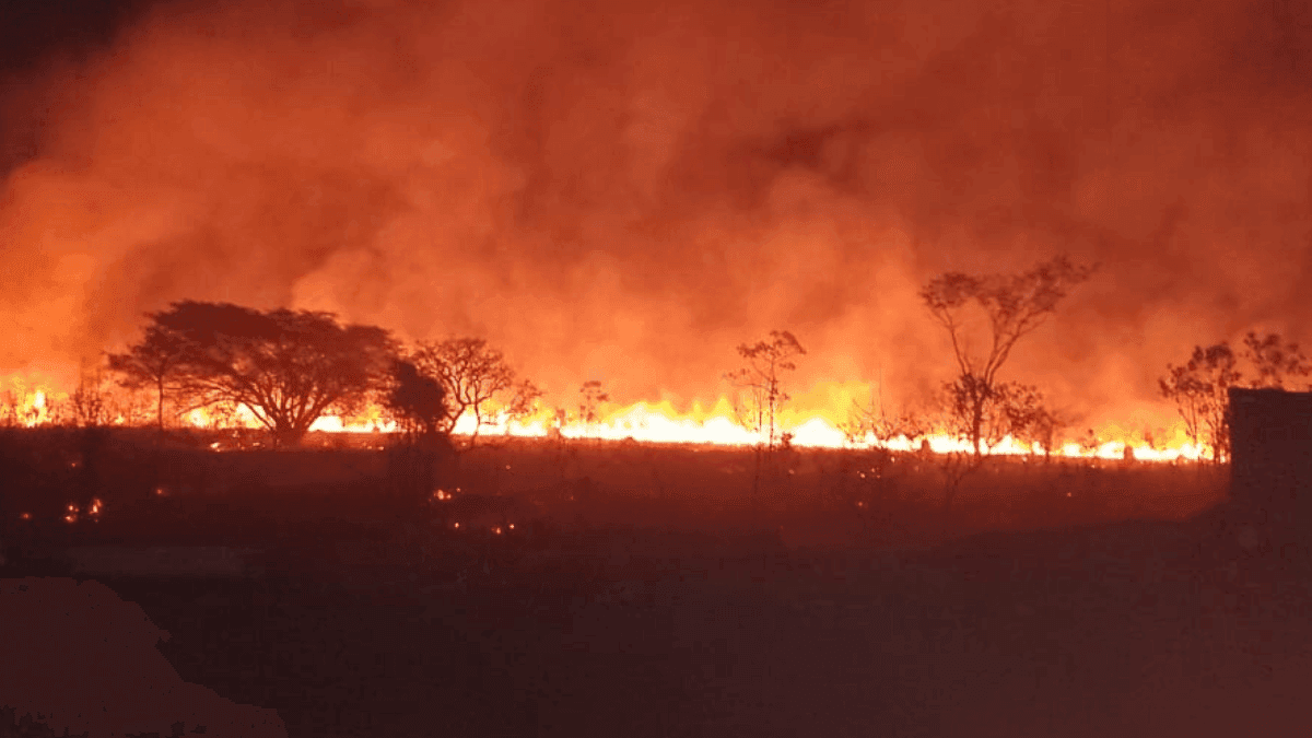 Incêndio em vegetação de Pindamonhangaba