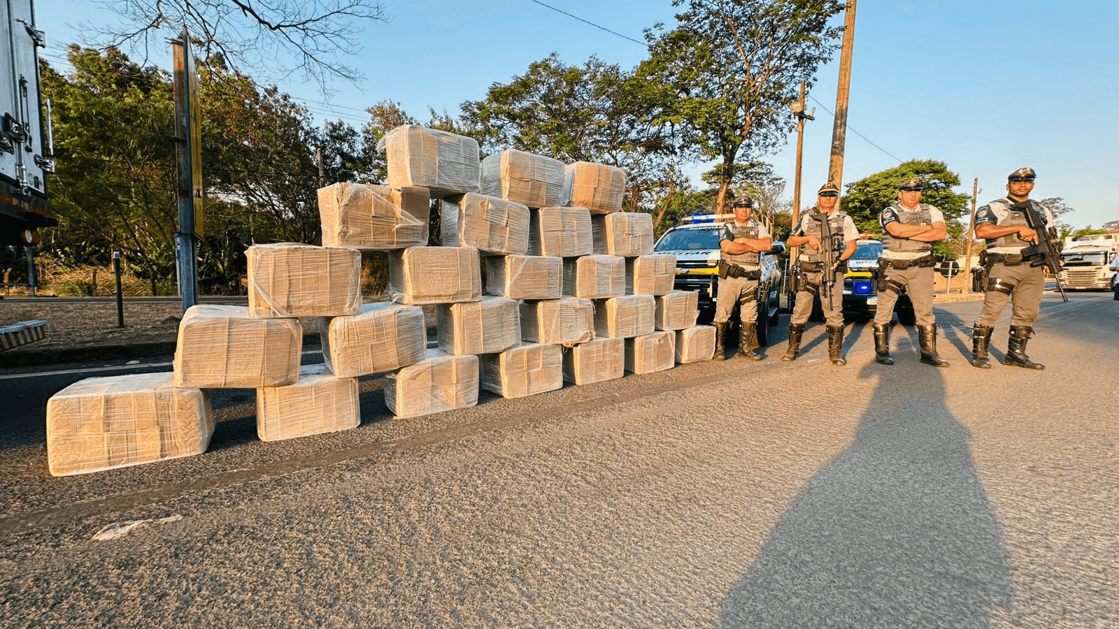 A droga estava escondida em caixas de papelão
