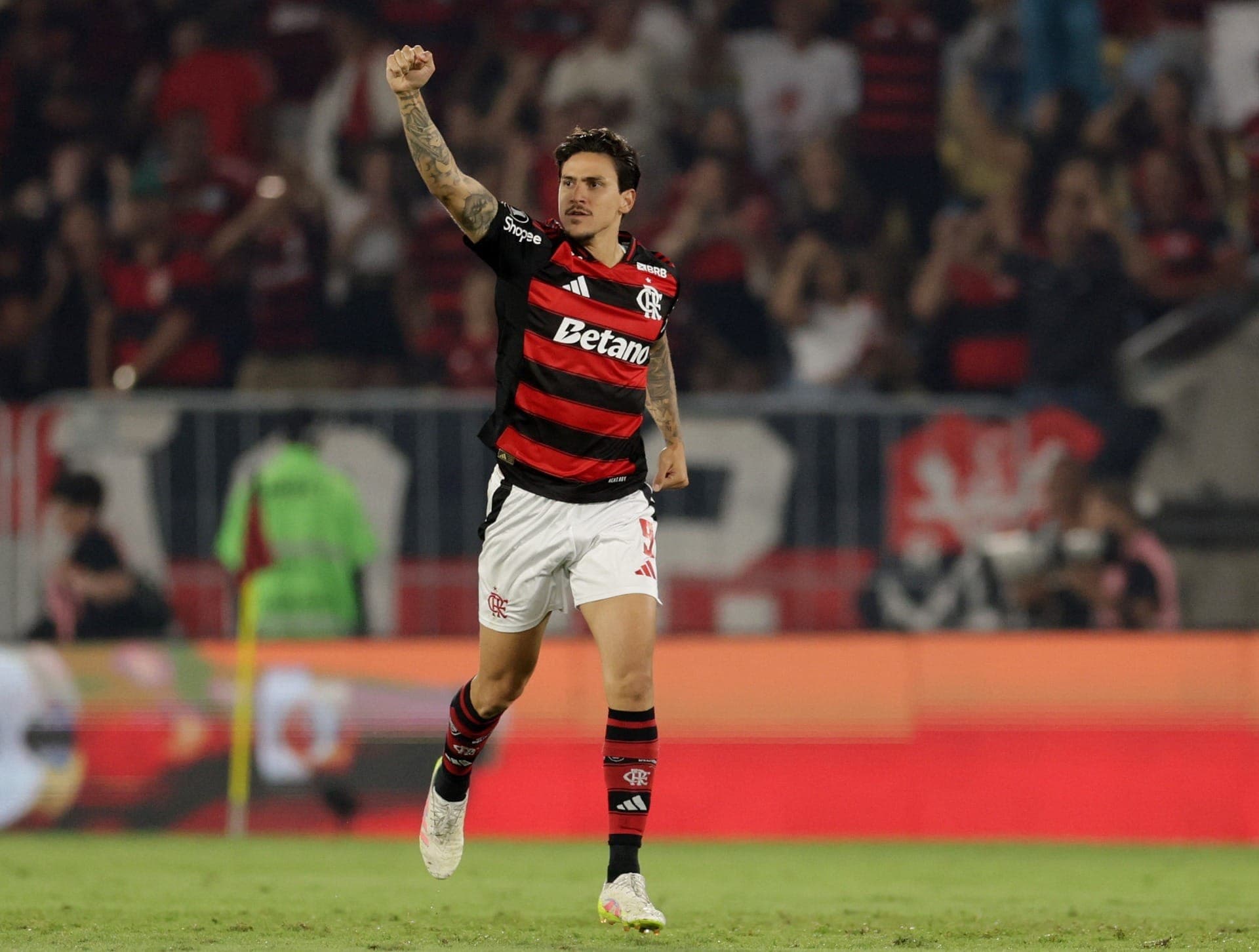 Pedro comemora gol do Flamengo