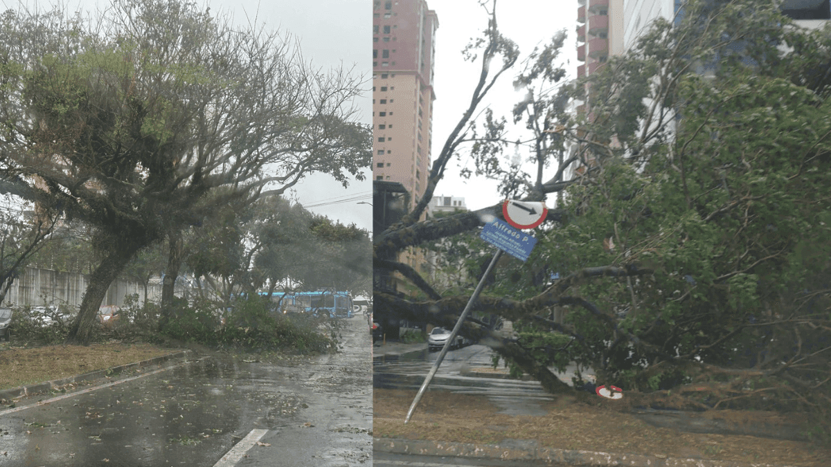 São José dos Campos registra diversos estragos após chuva e ventos de até 109 km/h 