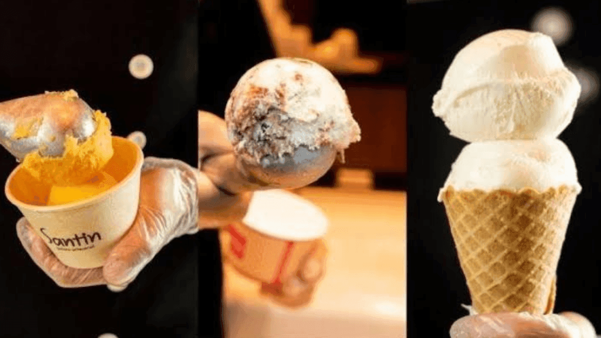 Gelateria de Ubatuba celebra o Dia do Sorvete com sabores da Mata Atlântica