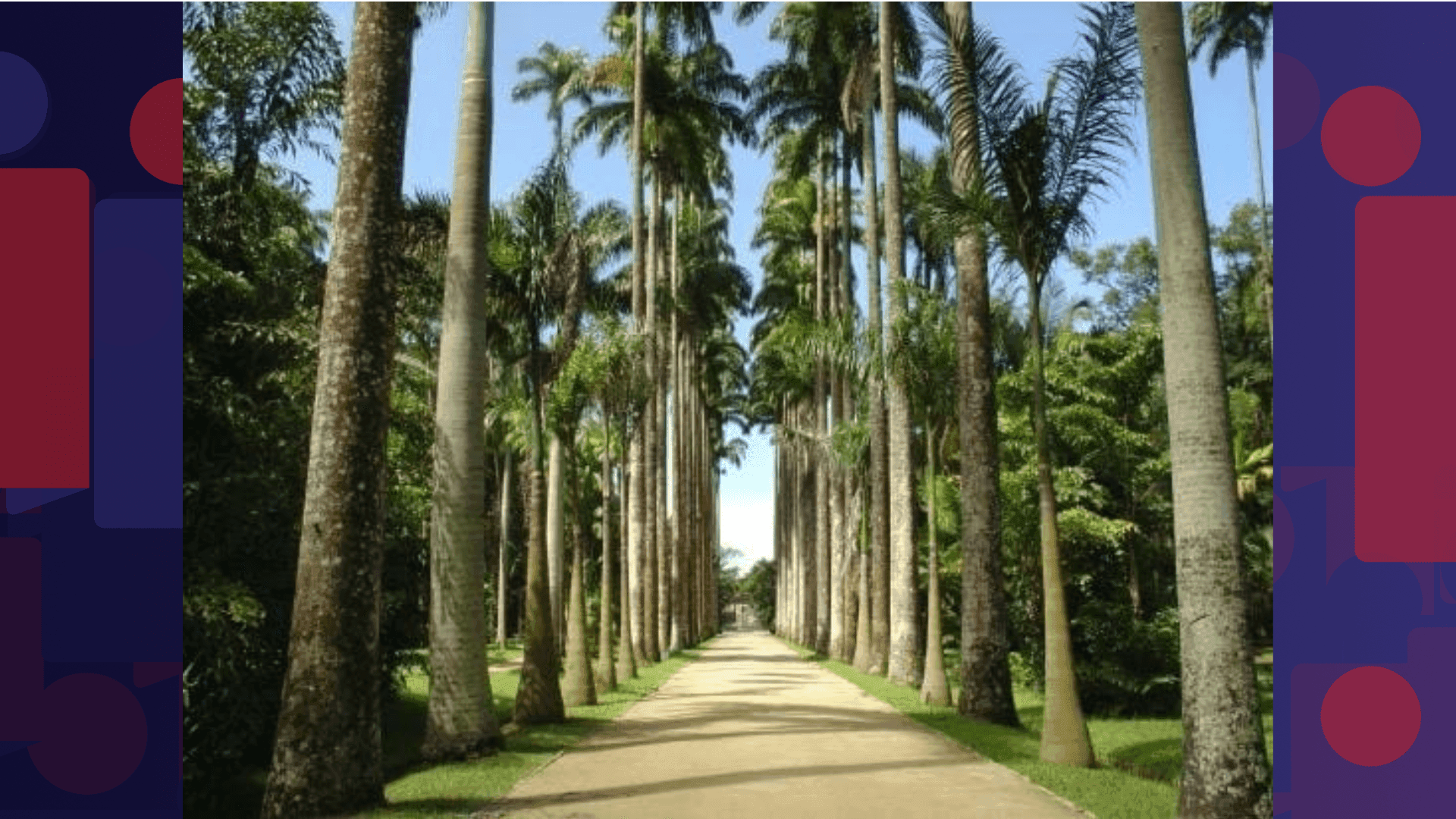 Jardim Botânico