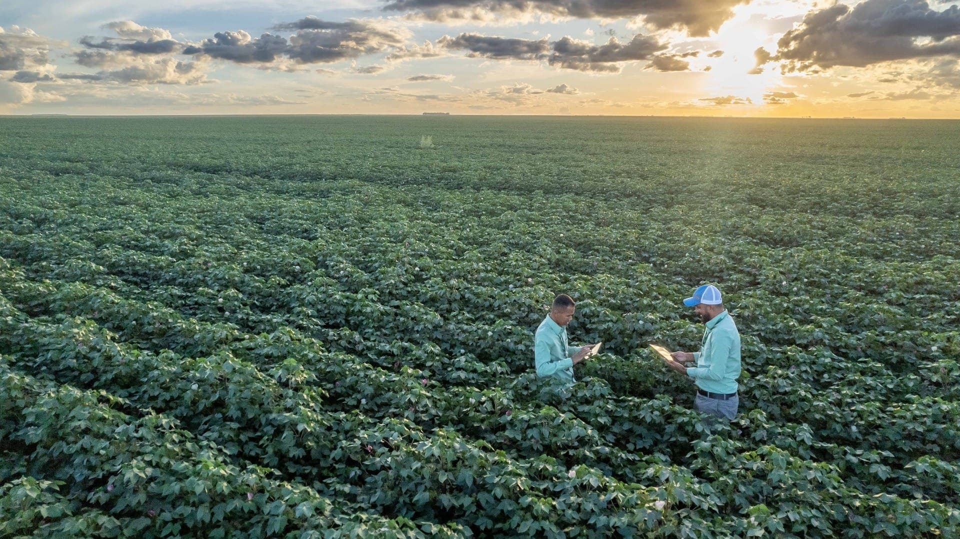 Hectare rural na região de Campinas é o mais valorizado em São Paulo
