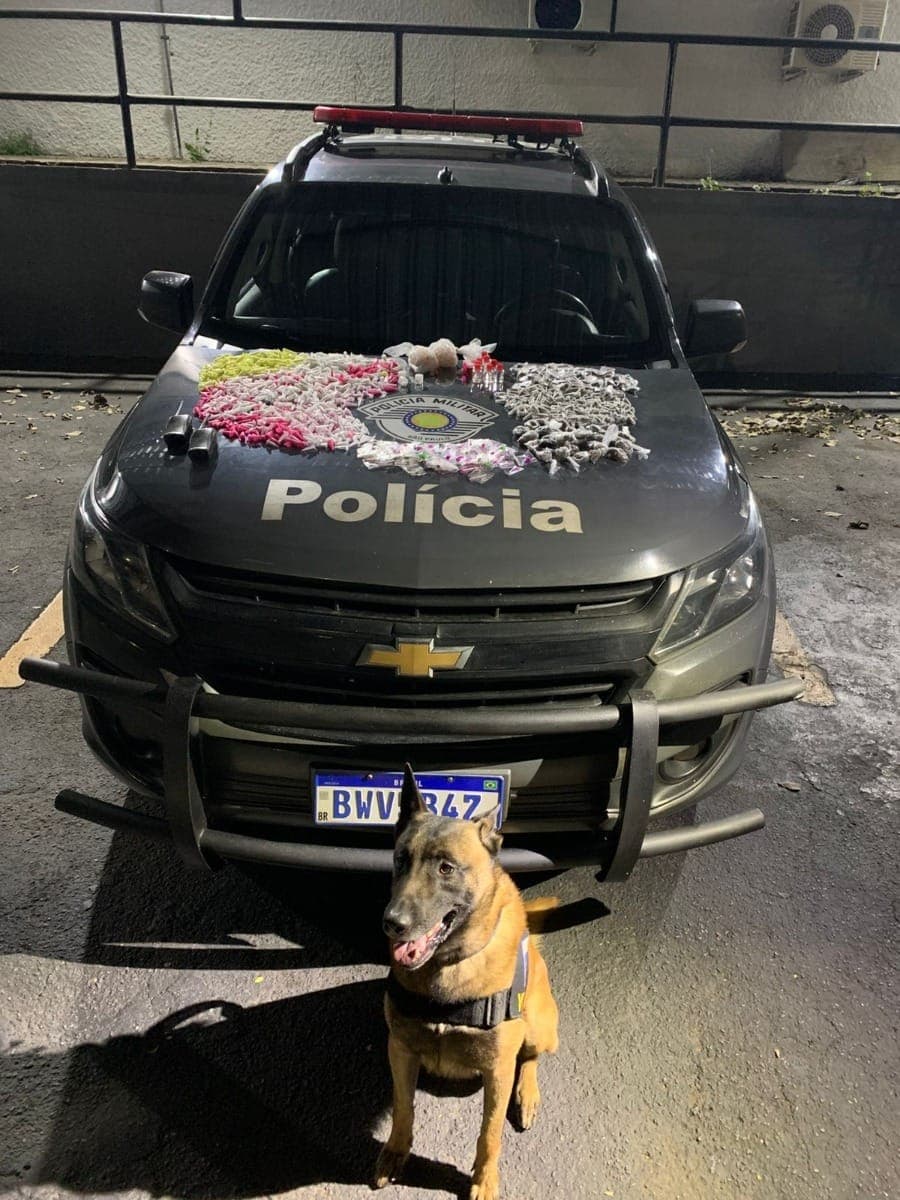 Cachorro apreende drogas