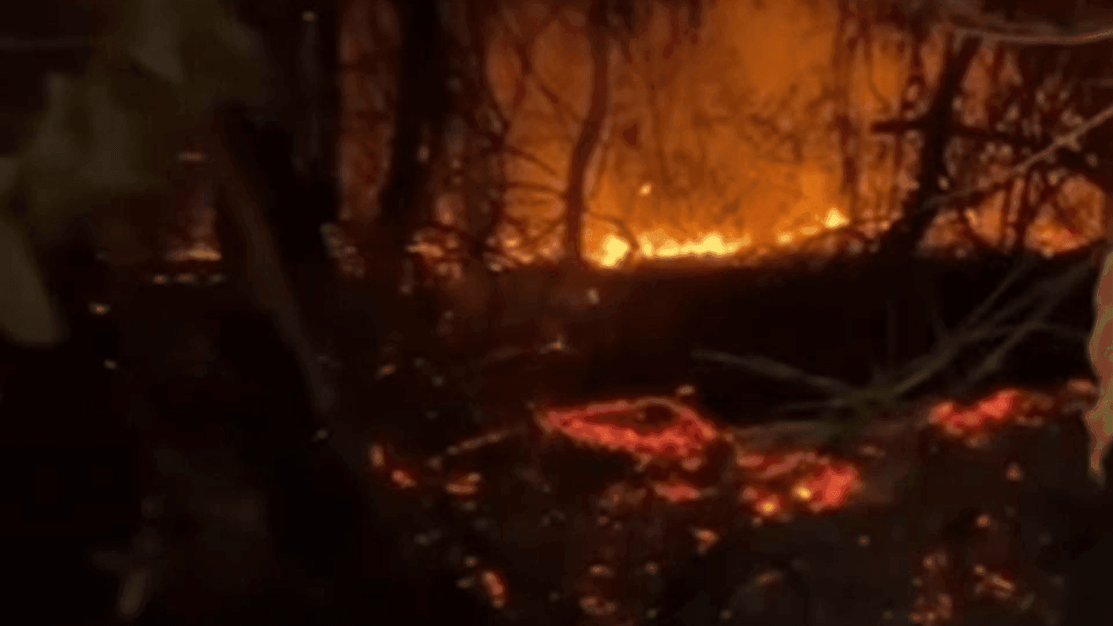 O incêndio se manteve ativo por quase cinco dias
