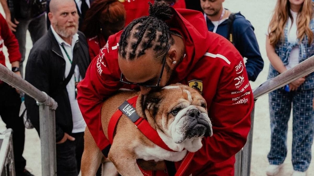 Hamilton se abre sobre a perda de Roscoe: "O luto é o último ato de amor"