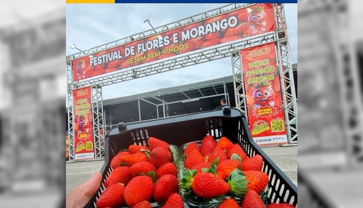 Primeiro Festival de Flores & Morangos em Jacareí