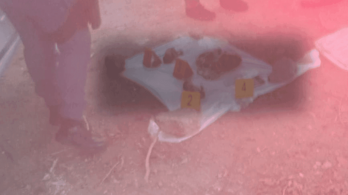 Polícia Civil investiga encontro de dois fetos em uma caçamba em Jacareí