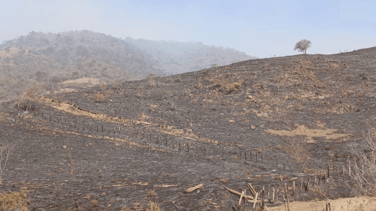 Incêndio que atinge Cunha e São Luiz do Paratinga entra no terceiro dia