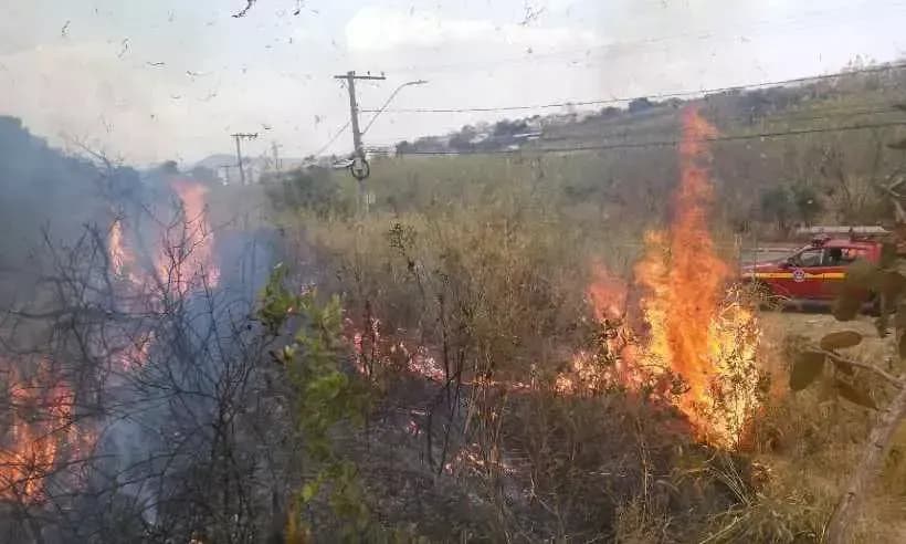 Incêndio na Mata do Baleia (BH)