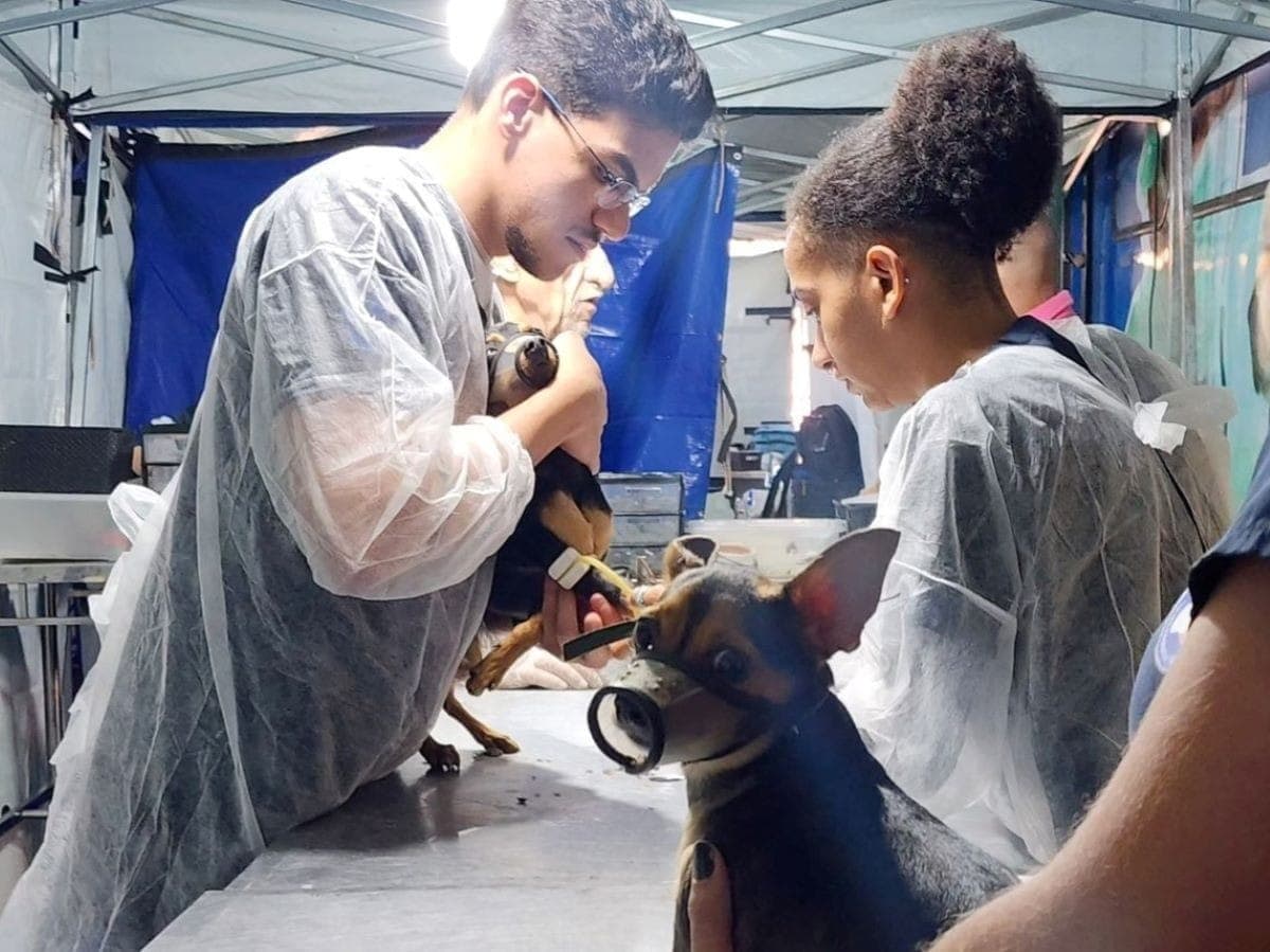 Serão realizadas 200 cirurgias por dia