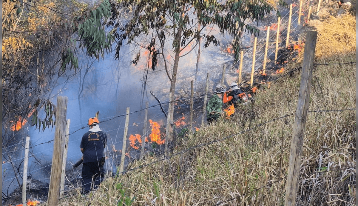 Incêndio atinge vegetação em Catuçaba