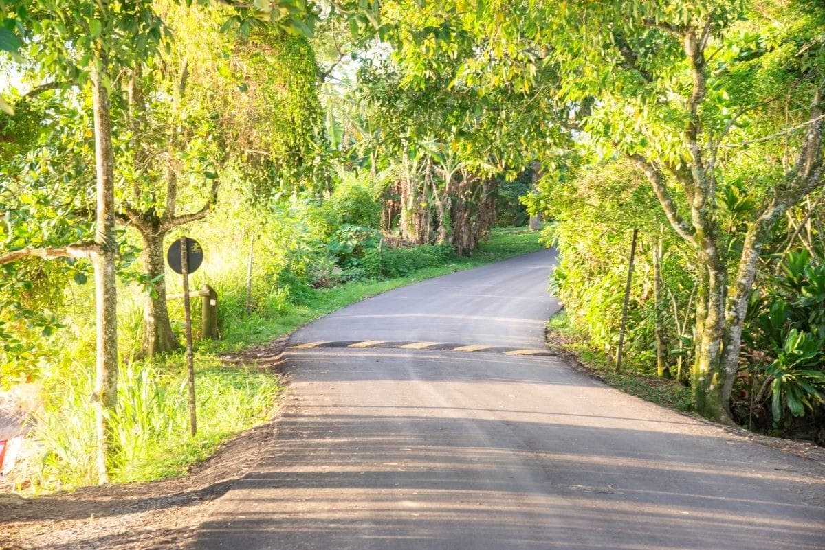 Corpo foi encontrado na Estrada do Picinguaba