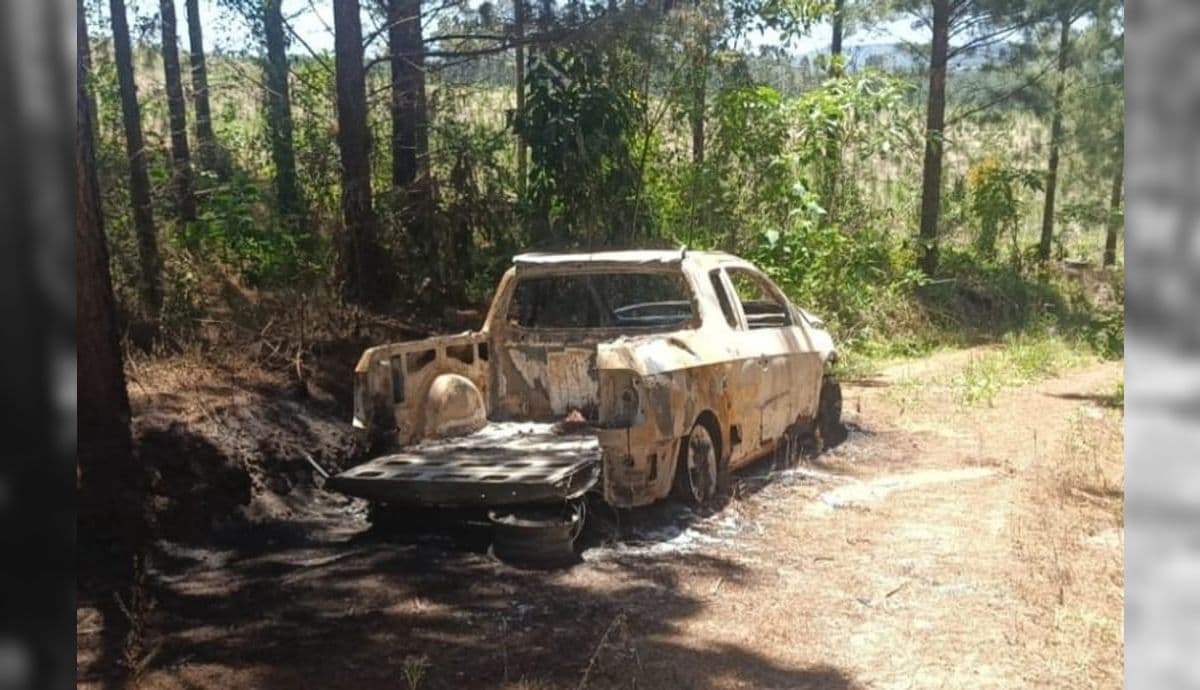 Carro encontrado em área de mata