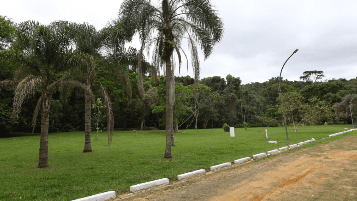 Prefeitura de São José dos Campos abre consulta sobre concessão do Parque Augusto Ruschi
