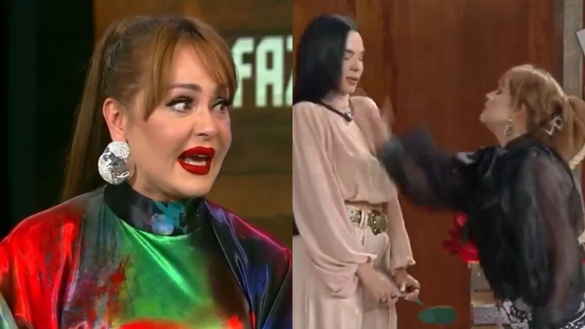 Gaby Spanic explicou tapa em Tamires Assis