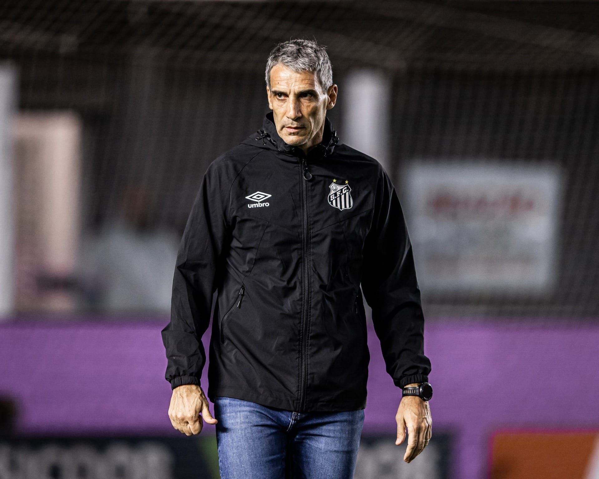 Vojvoda, técnico do Santos