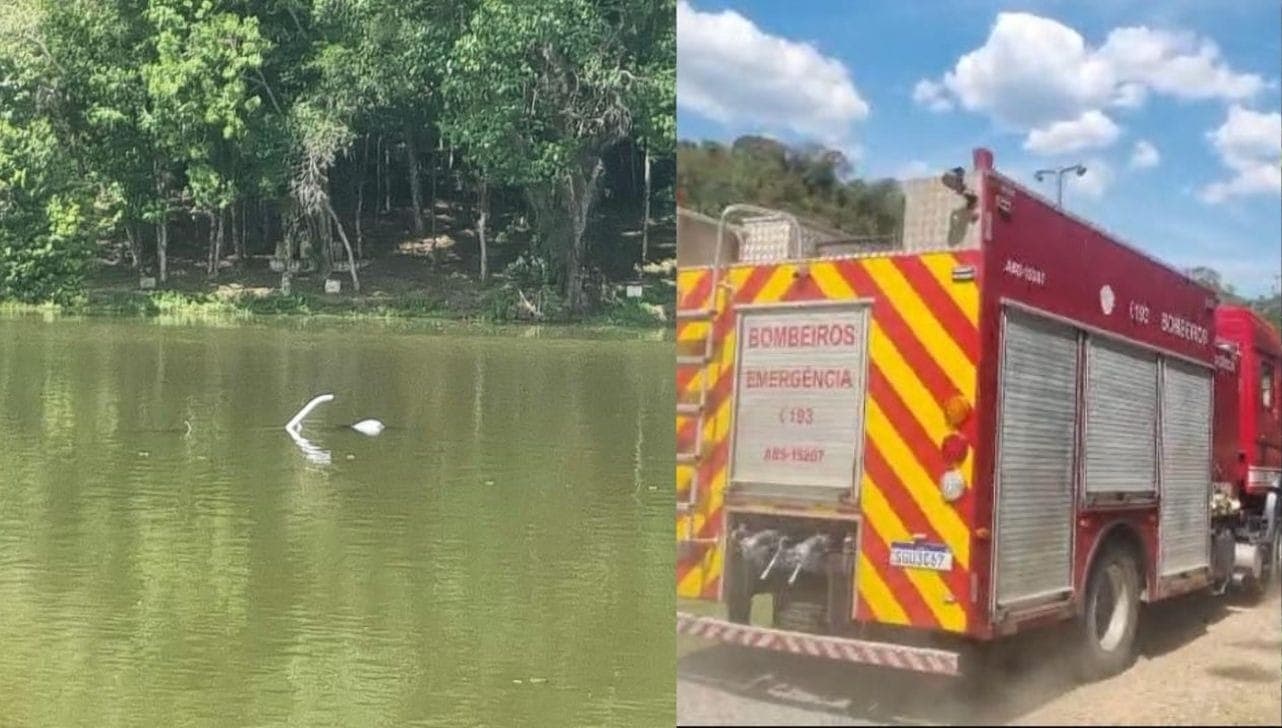 Acidente foi na tarde deste domingo