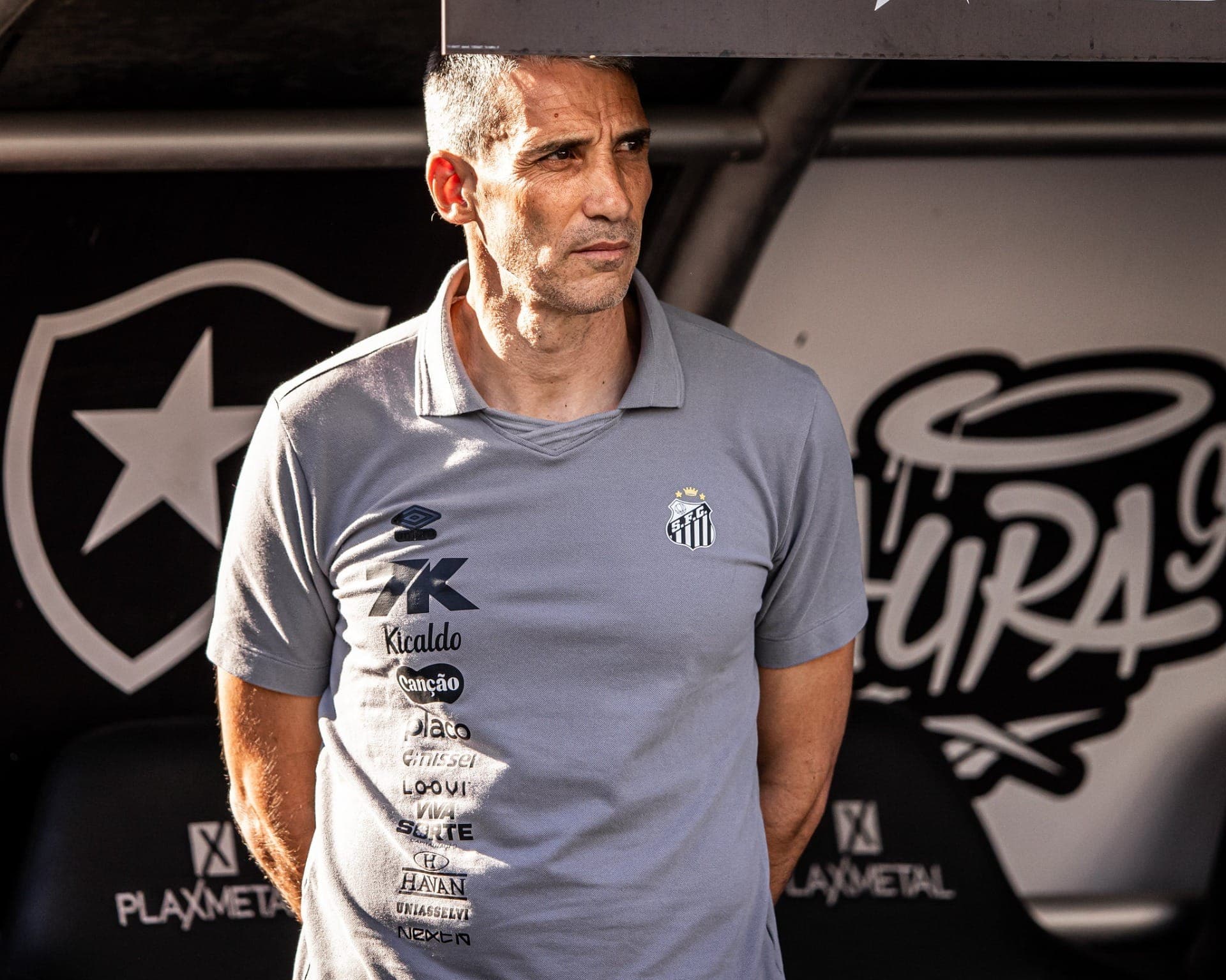 Vojvoda, técnico do Santos
