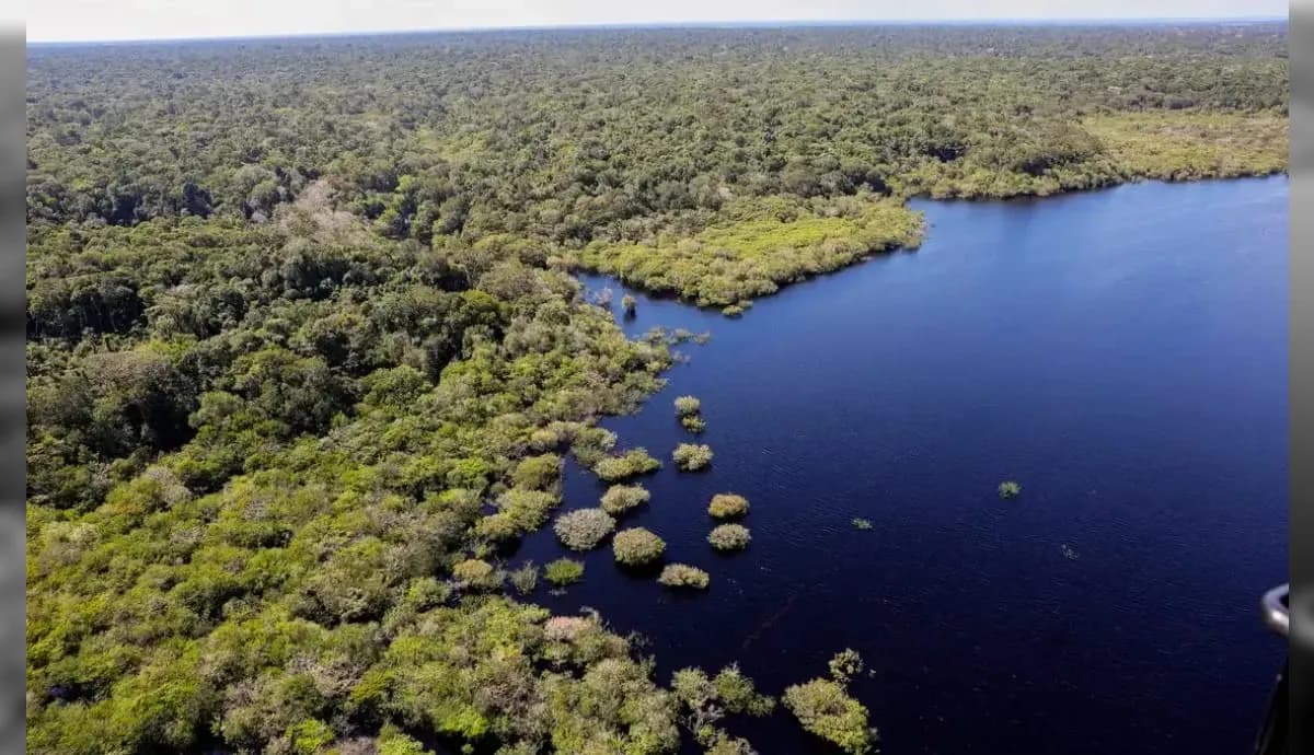 Crime organizado domina Amazônia 