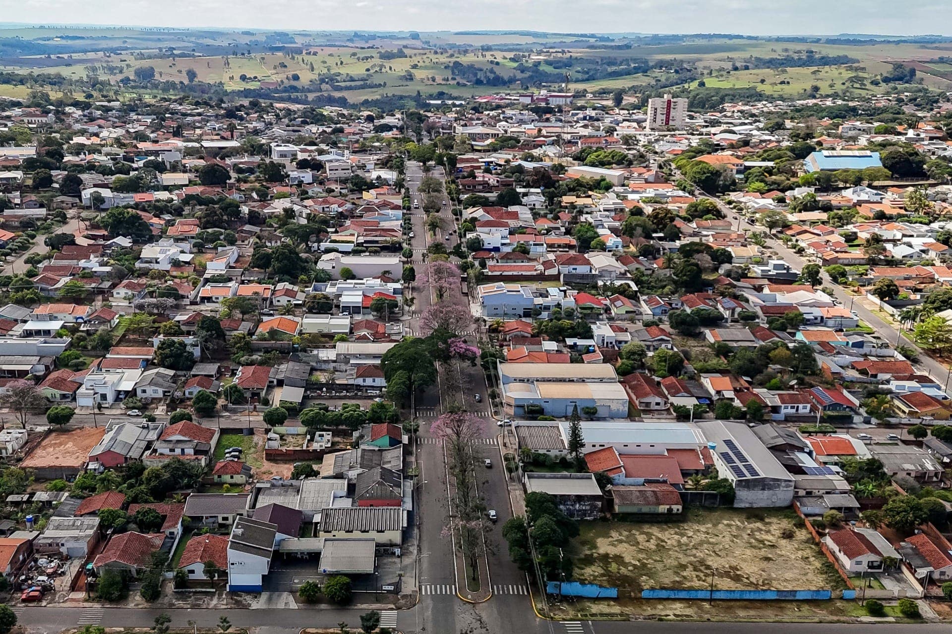 Nomes clássicos resistem ao tempo