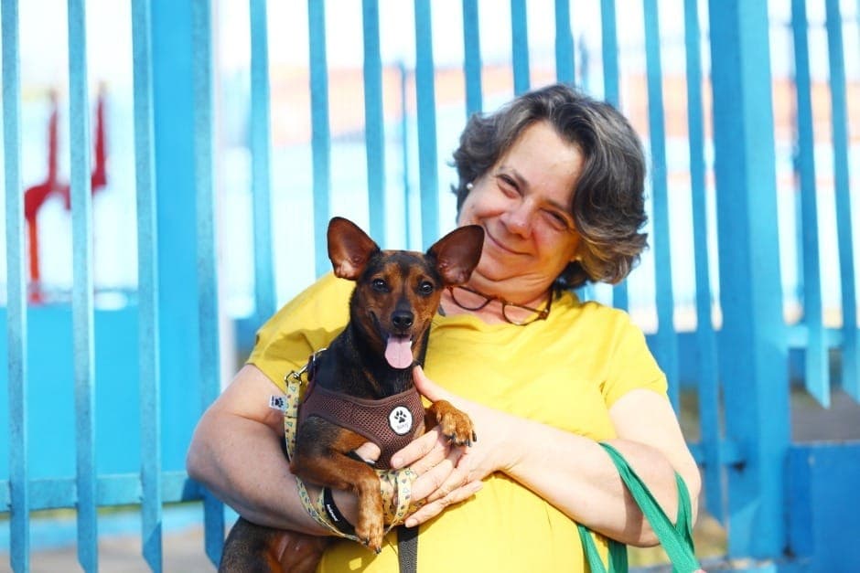 Estão disponíveis mil vagas para cães e gatos